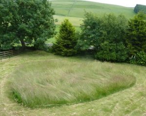 Grassy Heart